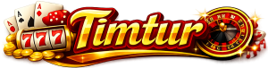 logo-timtur
